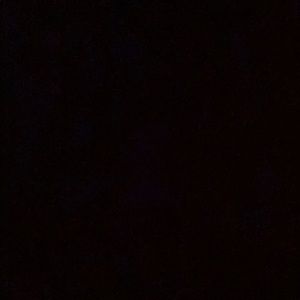 Meet your Posher, Ann